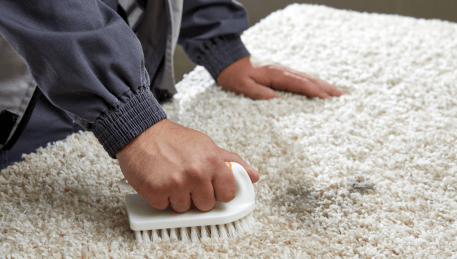 Professional Rug Cleaning Werribee